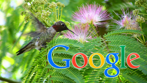 Google Hummingbird: Todo lo que Necesitas Saber del Nuevo Algoritmo